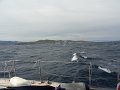DSC01846